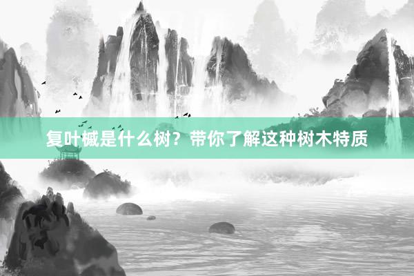 复叶槭是什么树？带你了解这种树木特质