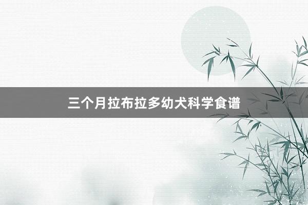 三个月拉布拉多幼犬科学食谱